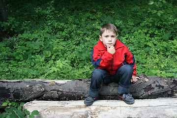 Image showing boy over a tree trunk