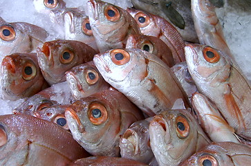 Image showing red fish