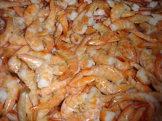 Image showing Shrimps