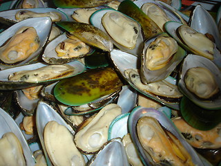 Image showing Mussels