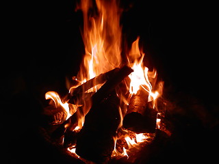 Image showing campfire of wood