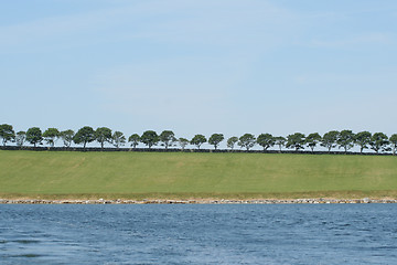 Image showing line of trees, landscape