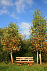 Image showing Bench