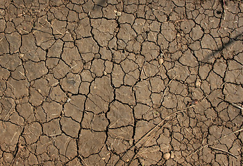 Image showing Dry Ground