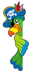 Image showing Lurking pirate parrot