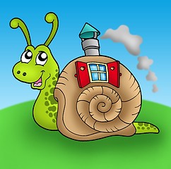 Image showing Snail with shell house on meadow