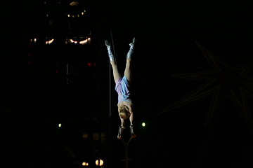 Image showing circus, artist