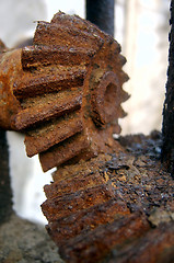 Image showing rusty gears