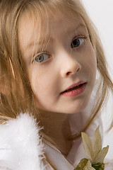 Image showing elf girl