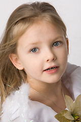 Image showing beautiful little girl