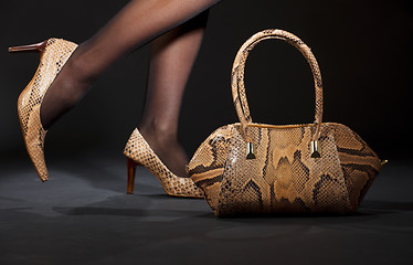 Image showing snakeskin shoes and handbag