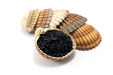 Image showing Caviar