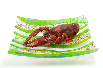 Image showing Crawfish/lobster