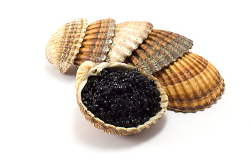 Image showing Caviar