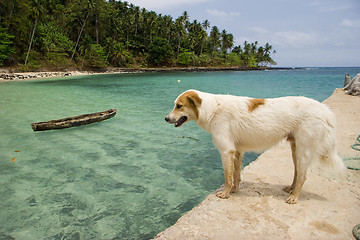 Image showing Equator Beach