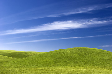 Image showing Green Meadow