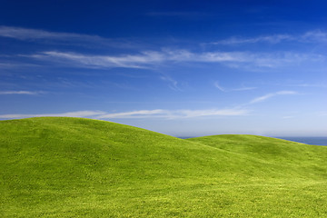 Image showing Green Meadow