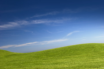 Image showing Green Meadow