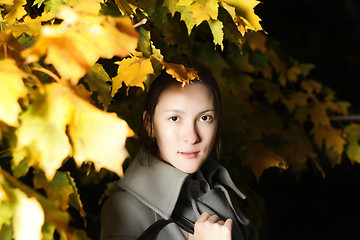 Image showing Under yellow leaves