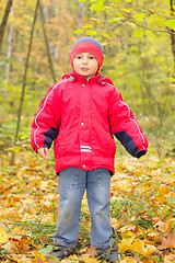 Image showing Boy in autumn forest