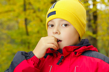 Image showing Portrait of boy in autumn