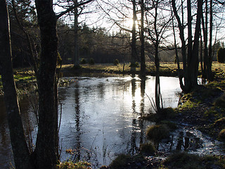 Image showing Autumn water