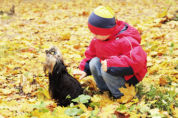 Image showing Boy and dog