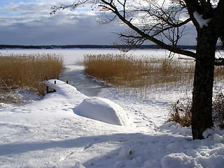 Image showing Winter view