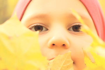 Image showing Little boy with leaves