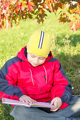 Image showing Reading under leaves