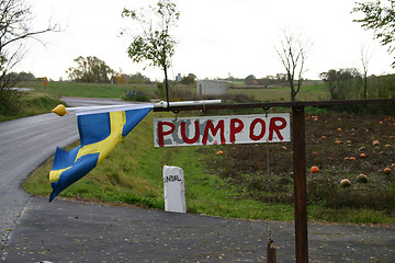 Image showing sale  of  pumpor