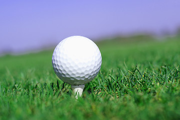 Image showing Golf ball in tall green grass