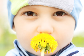 Image showing Boy with yellow dandelion