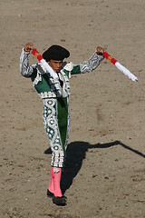 Image showing Bullfighter