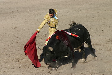 Image showing Bullfighter