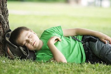 Image showing Dreams under tree