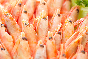 Image showing Shrimps