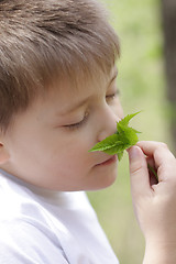 Image showing Boy and leaves