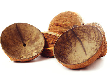 Image showing Coconuts dried up