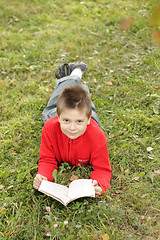 Image showing Boy reading book on grass