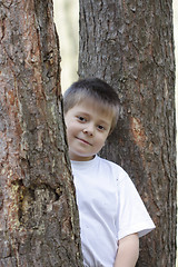 Image showing Boy among trees