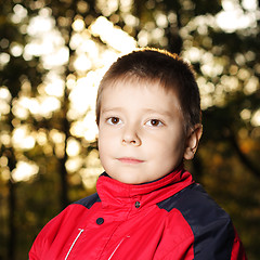 Image showing Portrait of boy sitting in forest