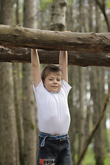 Image showing Hanging on a log