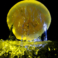 Image showing Lemon and water