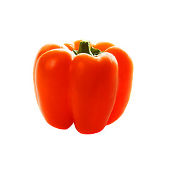 Image showing Paprika