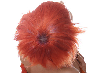 Image showing Short red hairs