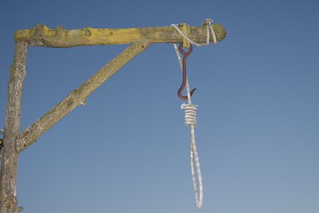 Image showing hang noose