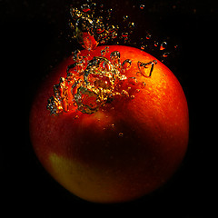 Image showing Red apple