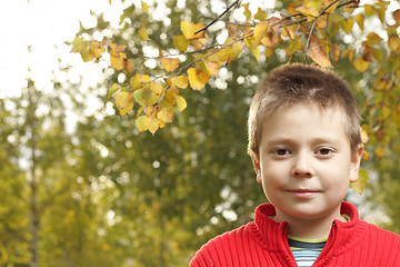 Image showing Boy in autumn park looking to camera