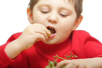 Image showing Eating grapes